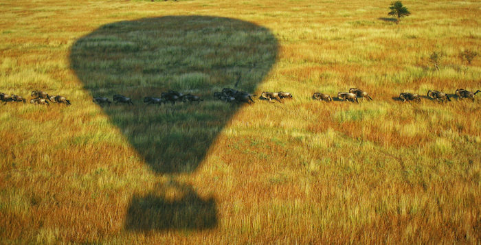 Waarom je social media ook zakelijk wilt gebruiken - Safari Foto