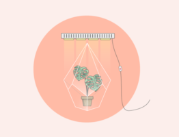 Hoe pas je Growth Hacking in jouw onderneming toe - Hoofdfoto